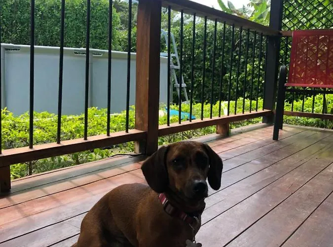 Pet Friendly - Wfh House