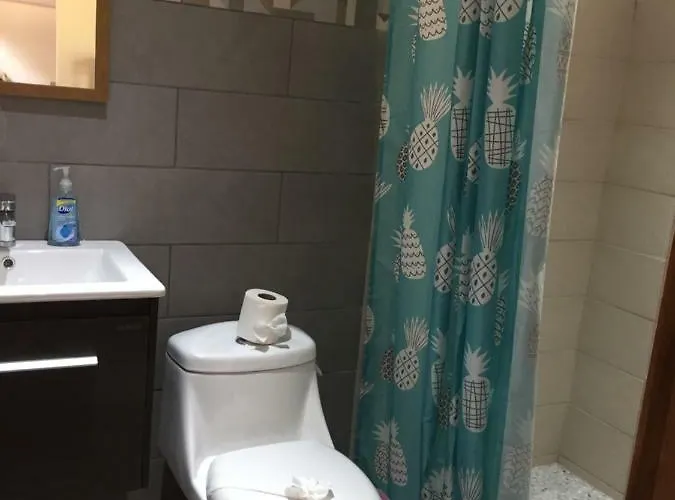 Pet Friendly - Wfh House * Potrero (Guanacaste)